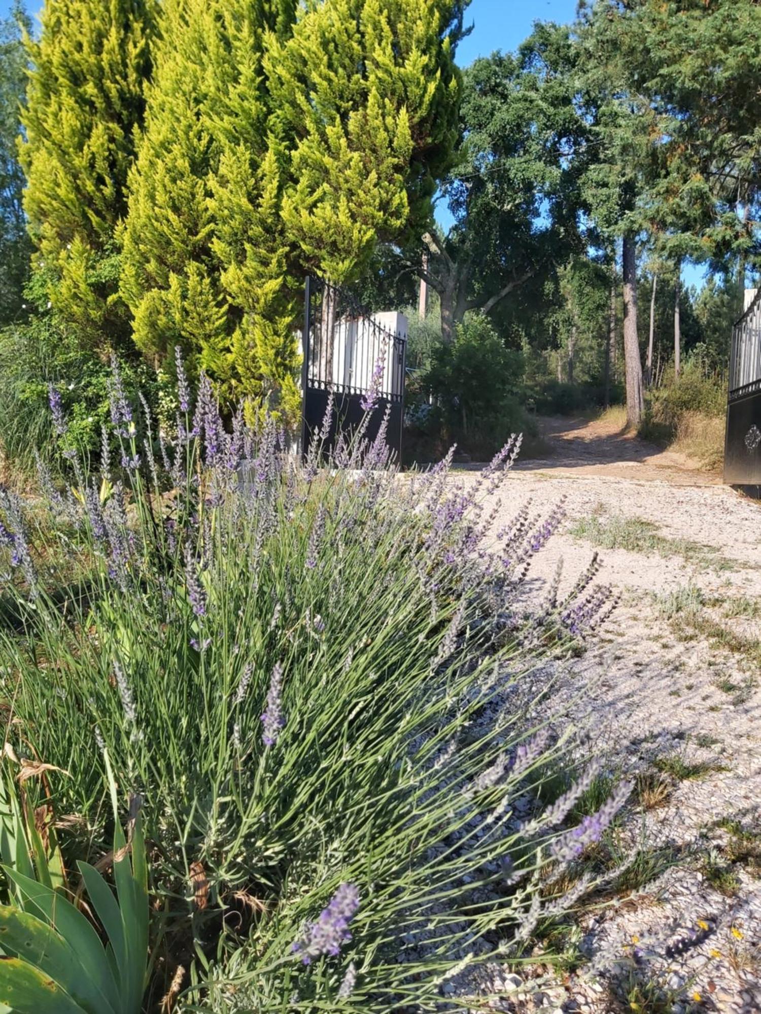 Casa Vale Nicolau Villa Arganil Szoba fotó